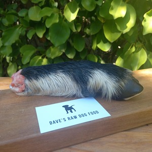 Raw Food 1: Goat Hoof