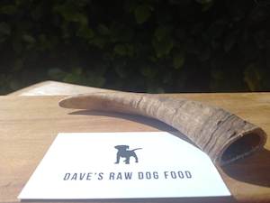 Treats 1: Goat Horn