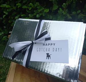 Treats 1: Birthday / Gotcha Day Box