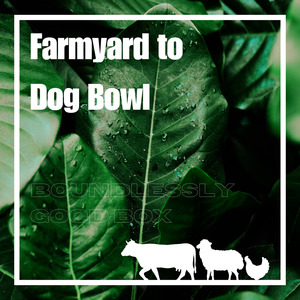 Raw Food: Farmyard to Dog Bowl