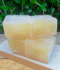 Raw Food 1: Duck Bone Broth