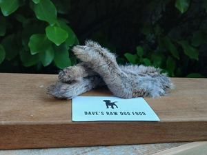 Treats 1: Wild Rabbit Feet - 4 Pack