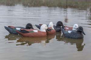 Gamebird Hunting: Game On 20" Magnum Paradise Duck Family