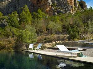 Clearance Outdoor: Branch Lounger