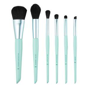 Accessories: Ready to Roll 6-Piece Brush Set