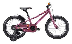 SILVERBACK SKID 14" - HOPBUSH PURPLE