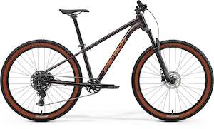 Hardtail: BIG NINE 40 - METALLIC BLACK(RED)