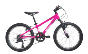 20 Bikes: AVANTI Bike Spice 20 Pink