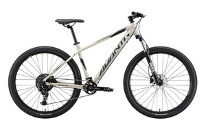 Hardtail: AVANTI Bike Montari 1 Warm Grey