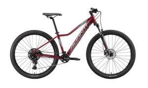 AVANTI Bike Montari 2W Plum & Silver