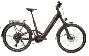 E Bikes: Allegro Alltrail UX Purple Lust