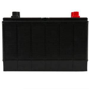 Batteries: Delkor HDC31 Deep Cycle Battery