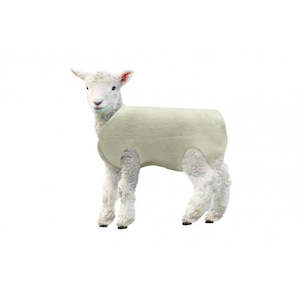 Equipment: Kid / Lamb Wool Cover