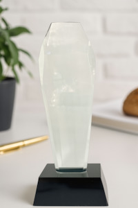 Trophy Awards Plaque 3195-4