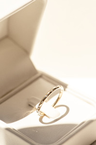 Fine Lines Collection: Petite Diamond Minimalist Band