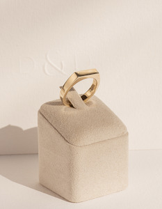 All Rings 1: Petite Rectangle Barre Signet