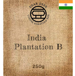 (ONLINE ONLY) India Plantation B Washed