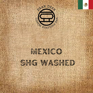 Single Origin: Mexico Chiapas Altura Montane Maya SHG