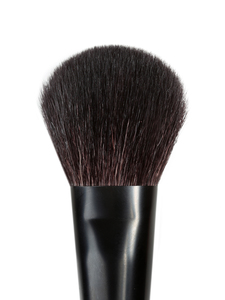 Products: Blush Brush 222