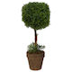 Table Topiary - Whispering Fern - Box Lot Deal (2)