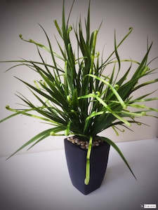 Artificial Grasses: Grass - Wild Koru Bush - Large - Box Lot Deal (4)