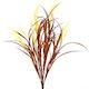 Grass, Barley Grass - Summer Brown - Box Lot Deal (6)