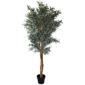 Trees And Topiaries: Olive Tree - Artificial 180cm ✰✰✰ SHOWROOM SPECIAL ✰✰✰