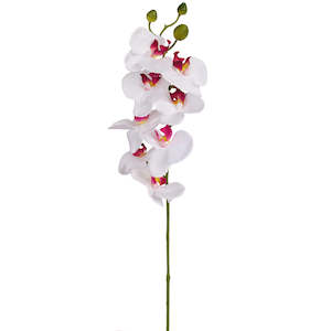 Orchid stem - White Pink - 60cm ✰✰✰ HALF PRICE SPECIAL ✰✰✰