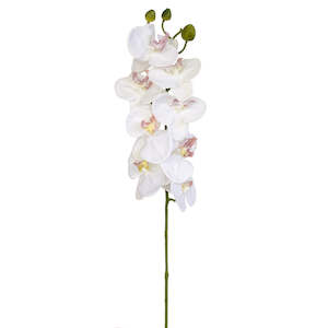 Orchid stem - White - 60cm ✰✰✰ HALF PRICE SPECIAL ✰✰✰