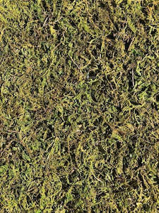 View 2: Moss Sheet - Artificial - 50cm x 30cm