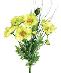 Flowers: Poppy Bush with Grass - Lime Green