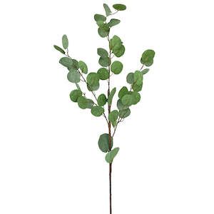 View 3: Dollar Leaf Spray - Sage Green