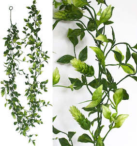 Hops - Garland - 6ft