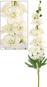 Flowers Abcdef: Delphinium Spray - White