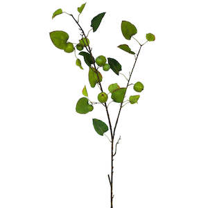 Flowers Abcdef: Apple Spray - Granny Smith Green - Box Lot Deal (6) ✰✰✰ HALF PRICE SPECIAL ✰✰✰