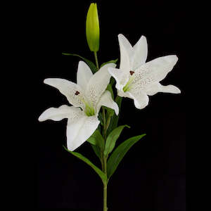 Artificial Flowers Ghijkl: Casablanca Lily - Double Head