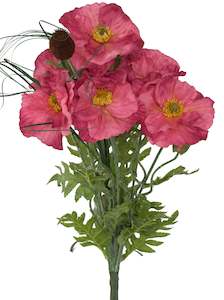 Flower Colour Blue Purple: Poppy Bush with Grass - Grape colour