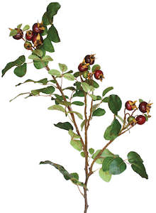 Flowers: Rosehip Spray - Natural Ripened 90cm