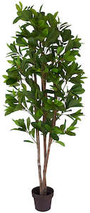 View 2: Magnolia Evergreen Tree - Artificial ✰✰✰ SHOWROOM SPECIAL ✰✰✰