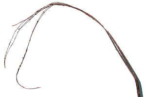 Artificial Grasses: Tortured Willow 125cm - Box Lot Deal (4)