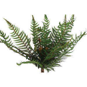 Fern - Artificial- NZ Bush - Box Lot Deal (4)