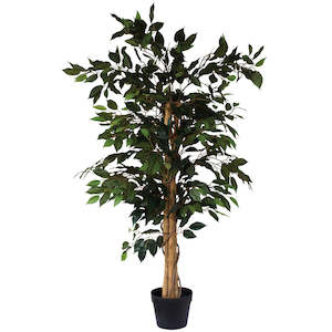 Tree - Ficus 125cm ✰✰✰ SPECIAL ✰✰✰