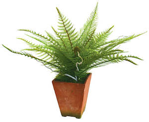 Artificial Ferns: Fern - Potted House Plant - NZ Green - Box Lot Deal (4)