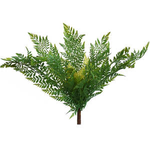 Artificial Ferns: Fern - Asparagus Fern Bush - Box Lot Deal (4)