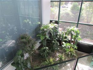 Artificial Ferns: Garden Setting #1 - Example - PRICE ON APPLICATION