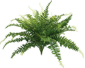 Artificial Ferns: Boston Fern - Large
