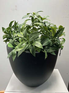 Trees And Topiaries: Topiary Ball - 35cm ✰✰✰ SPECIAL ✰✰✰