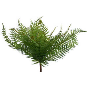 Artificial Ferns: Fern - NZ - Large - Dark Green