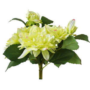 Dahlia Flower Bouquet - Lemon Cream