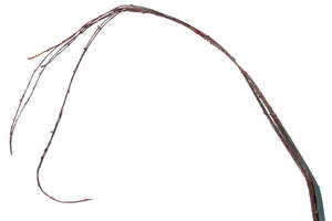 Tortured Willow 125cm